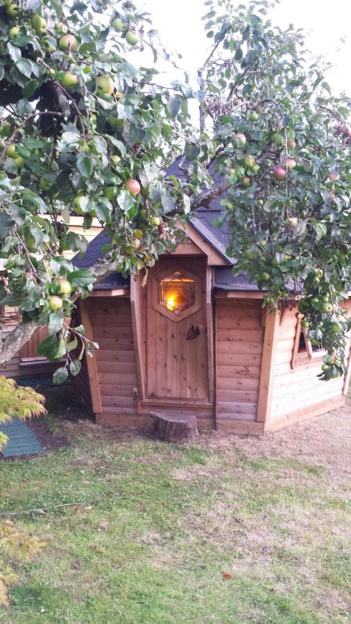 Culvers House Cattistock Exterior foto
